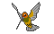 Colibri